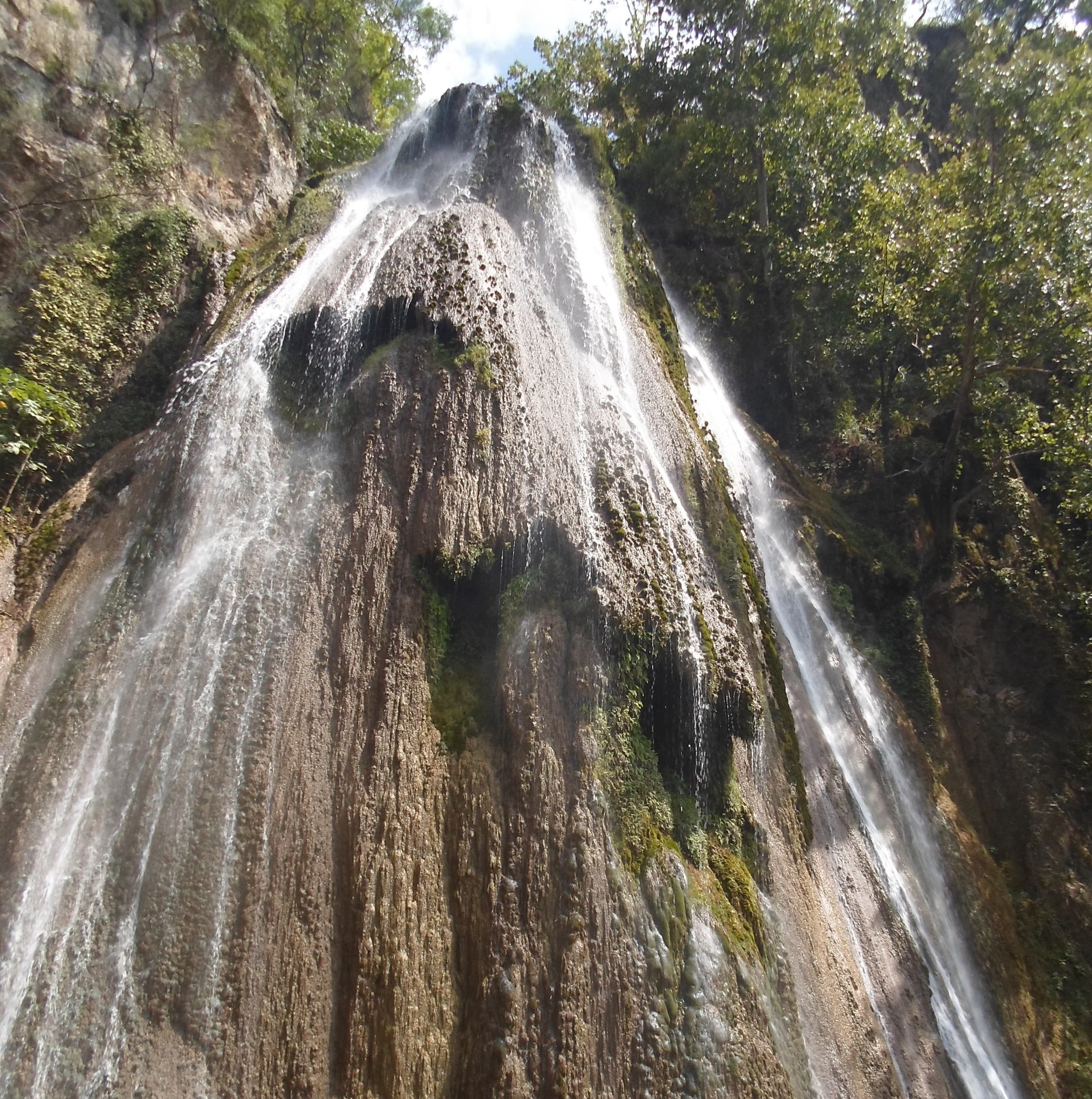 Cascada Cola de Caballo entre vegetación serrana de Santiago NL